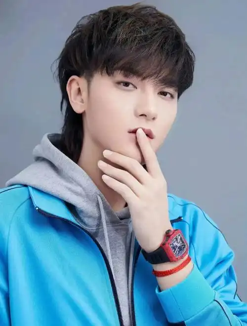 黄子韬公司公司ceo被调查