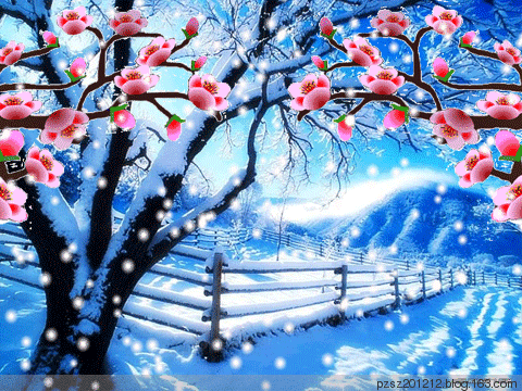 480_360gif 动态图 动图