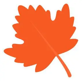 卡通一片橘色的枫叶元素