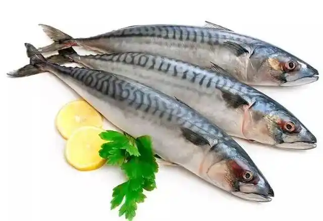 冷冻沙丁鱼进口报关清关那些事儿「通关指南」