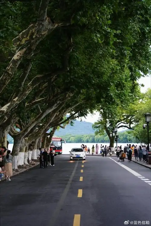 镜头里的夏日杭州