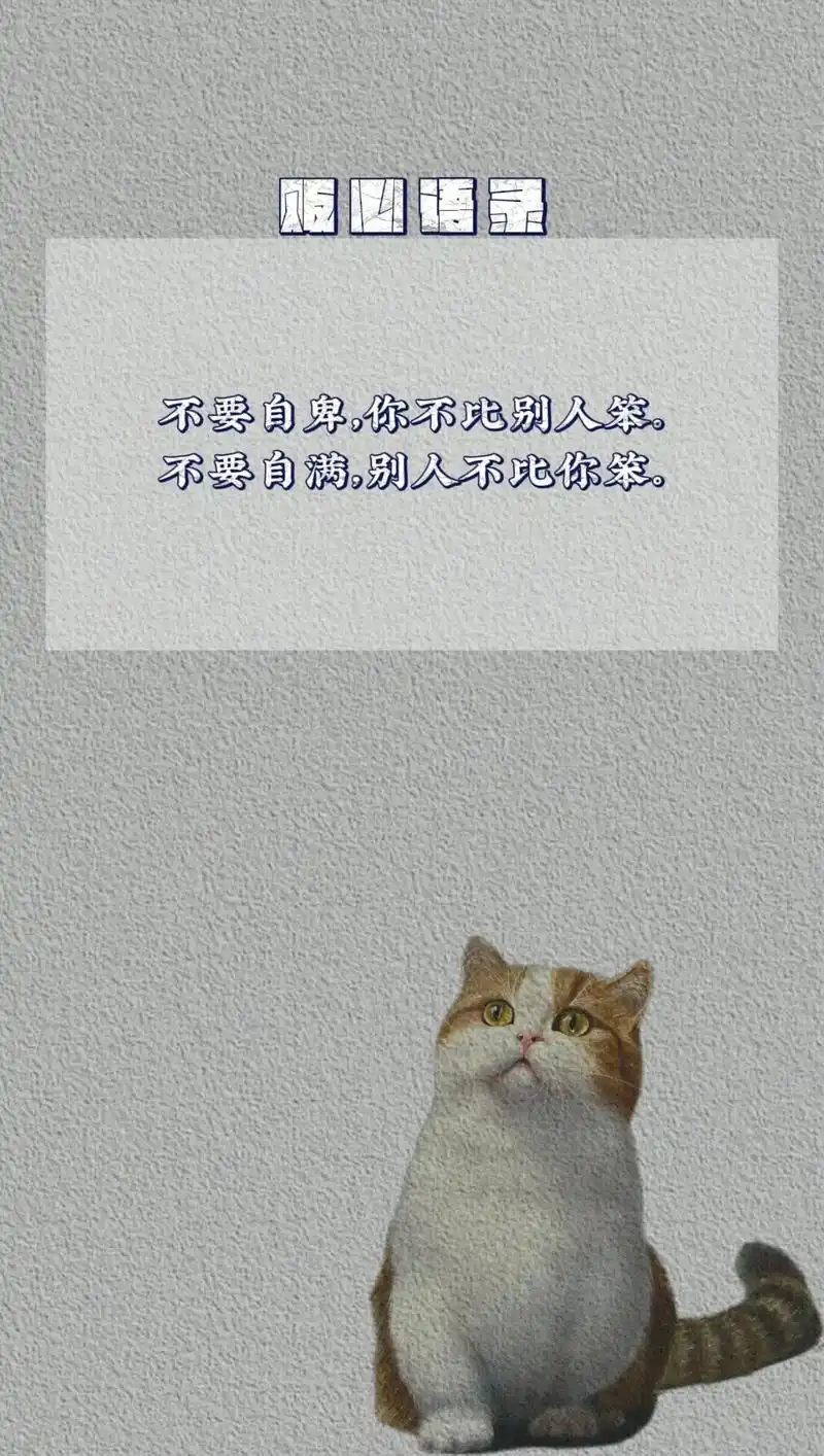 抖音图文来了 #贩心语录 #文案 @ - 抖音