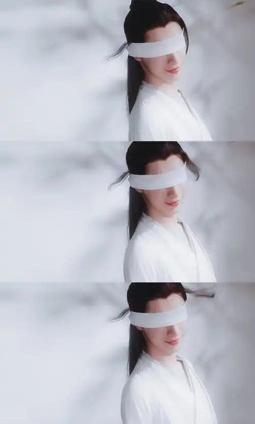 陈情令晓星尘宋继扬