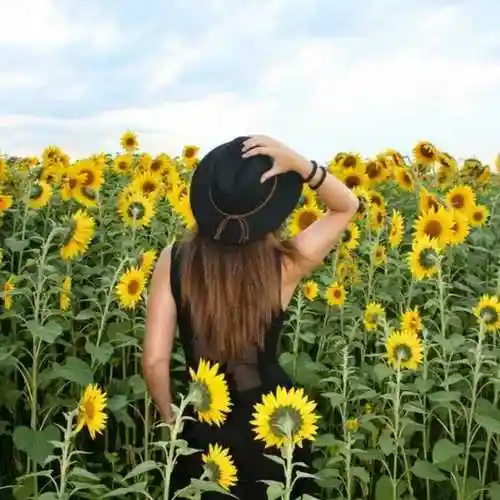 岁月静好2467007364948头像