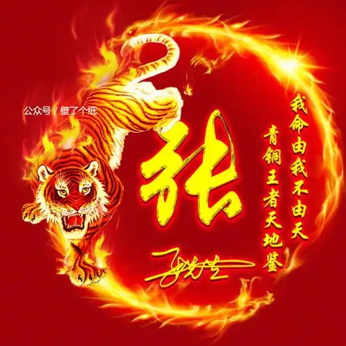 编号3462微信头像姓氏头像火焰龙虎霸气的狠