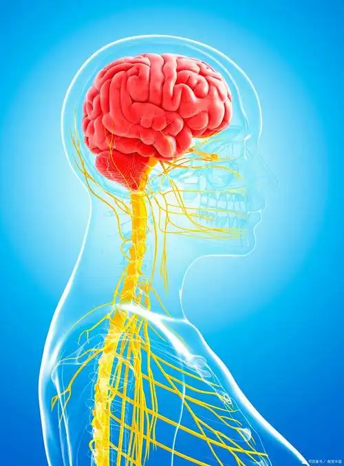 在快节奏的现代生活中,我们常常感到大脑疲劳,思维迟缓,这很可能是脑