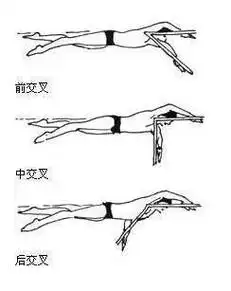野泳:长距离游泳动作变化与野外实用泳姿讲解_交叉_时候_身体