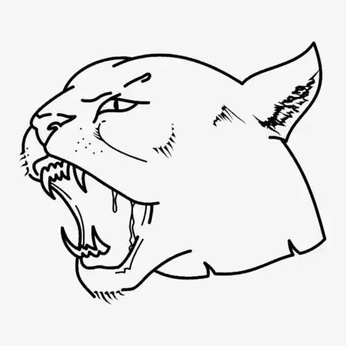 黑白轮廓动物图案