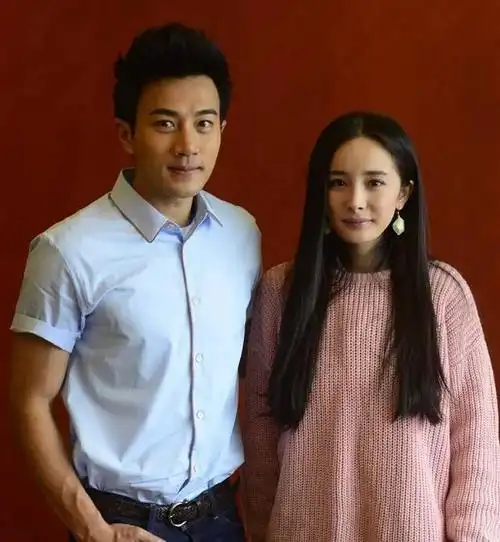 刘恺威前任妻子是谁(刘恺威的前妻有几任)-天晟网