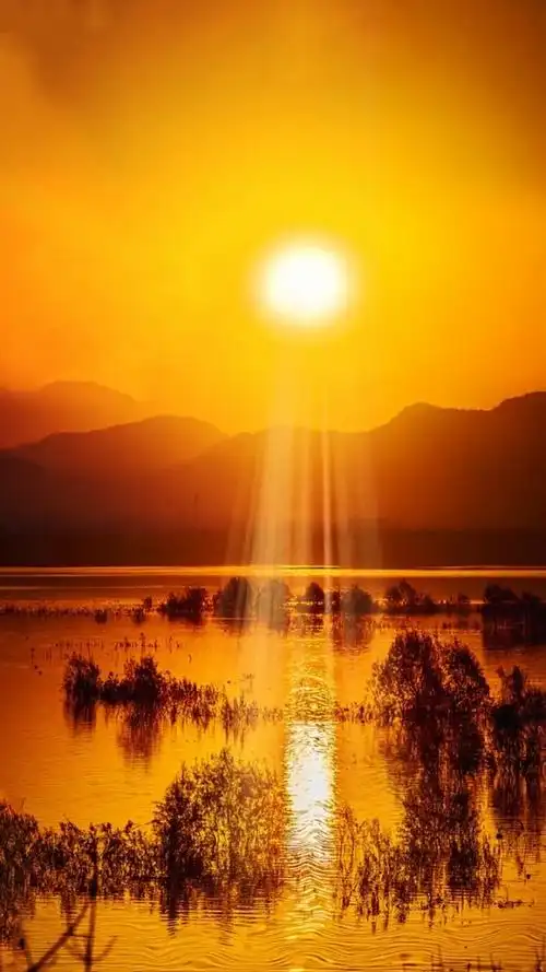 日出东方催人醒  #清晨第一缕阳光#风景