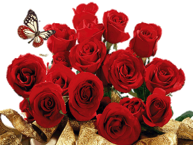 灵魂在一朵玫瑰里觉醒