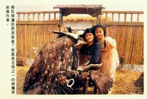 《神雕侠侣》,出于1960年至1961年,共4部,谢贤 饰演 杨过,南红(苏淑眉