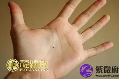 痣相学当中,手心长痣代表的是什么意思呢?左掌心的痣怎么看?