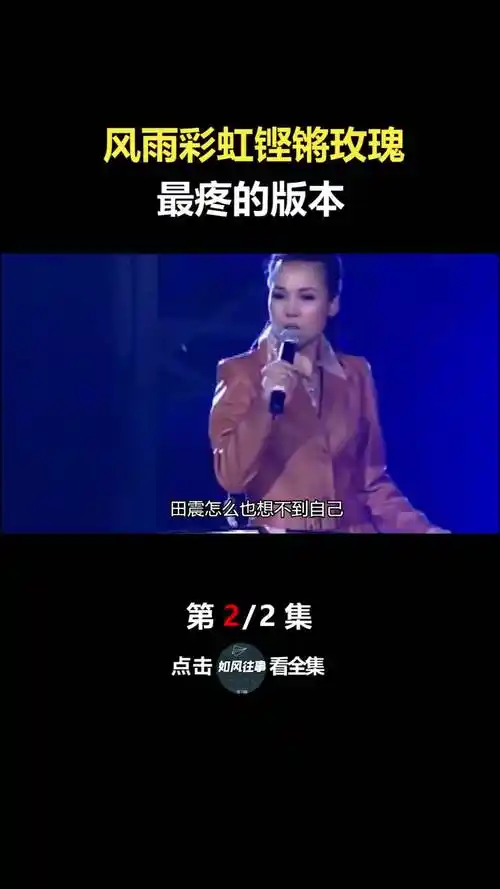 风雨彩虹铿锵玫瑰最疼的版本田震风雨彩虹铿锵