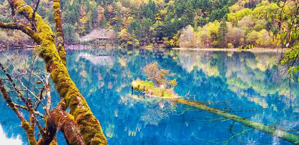 2020年秋天的多彩九寨