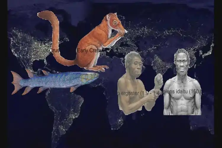 3.85亿年从鱼类进化成人类的过程_手机搜狐网