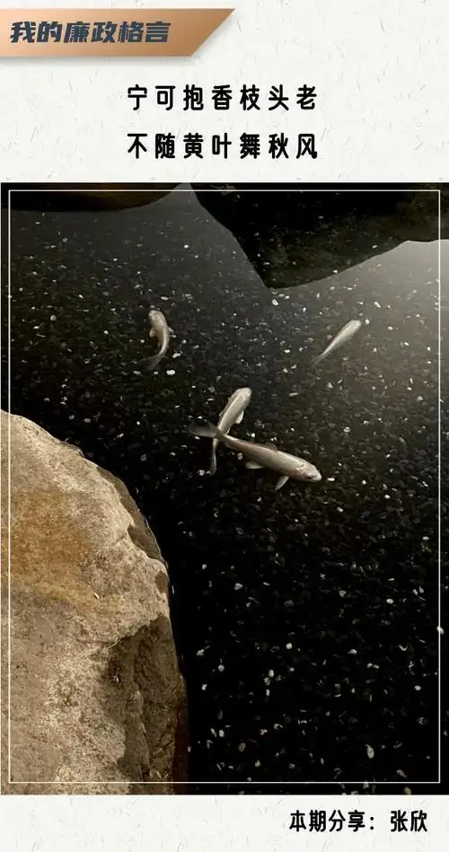 兰香廉语 | 宁可抱香枝头老,不随黄叶舞秋风
