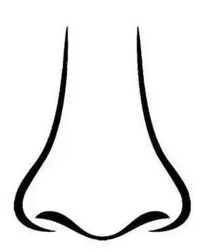 鼻子简笔画 鼻子简笔画怎么画