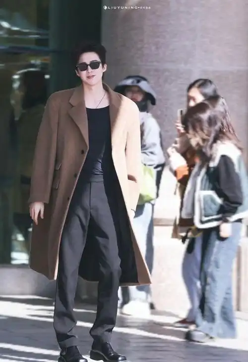 刘宇宁录制节目上班图,棕色大衣一穿墨镜一戴,可真够酷的