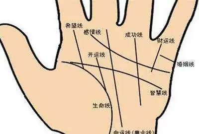 手相子女线是小指根部到感情线之间的线段.