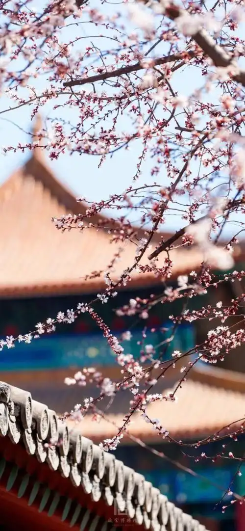 iphonexsmax壁纸故宫系列