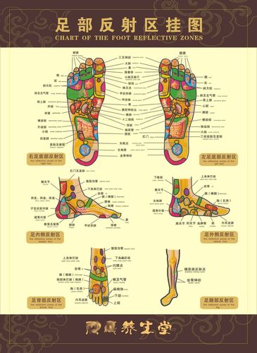 海报印制展板写真喷绘贴纸足部穴位反射区挂图写真