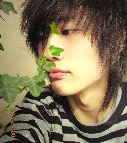 许嵩song xu的图片