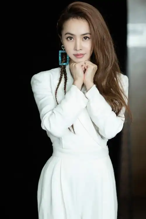 蔡依林优雅干练写真图片710