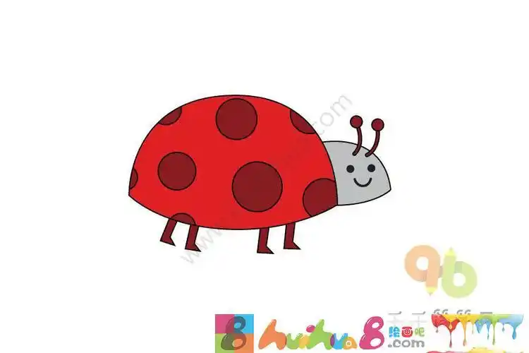 七星瓢虫简笔画彩色七星瓢虫简笔画彩色卡通