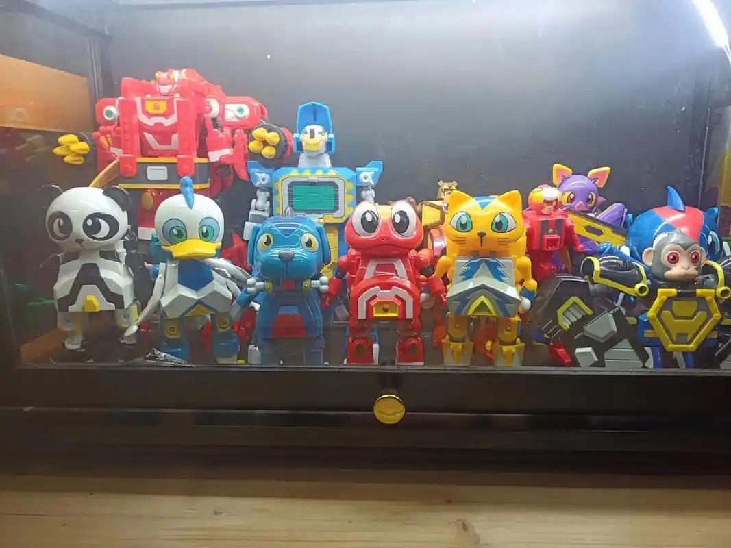 无论刮风还是下雨,一路上有你,不离不 弃#快乐酷宝