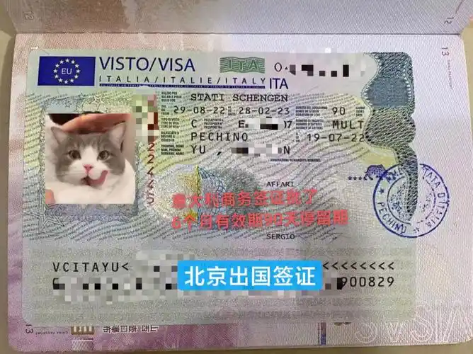 意大利商务签证批了6个月有效期90天停留期