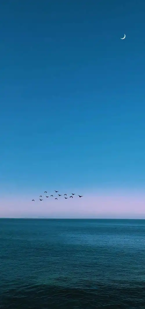 清洁晴空壁纸67人间温柔皆如清洁的云朵