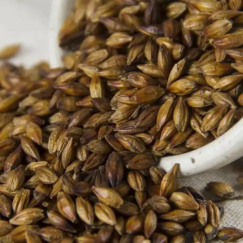 中药材正品 炒焦麦芽 焦麦芽 大麦茶 大麦芽茶 500g/满两斤包邮