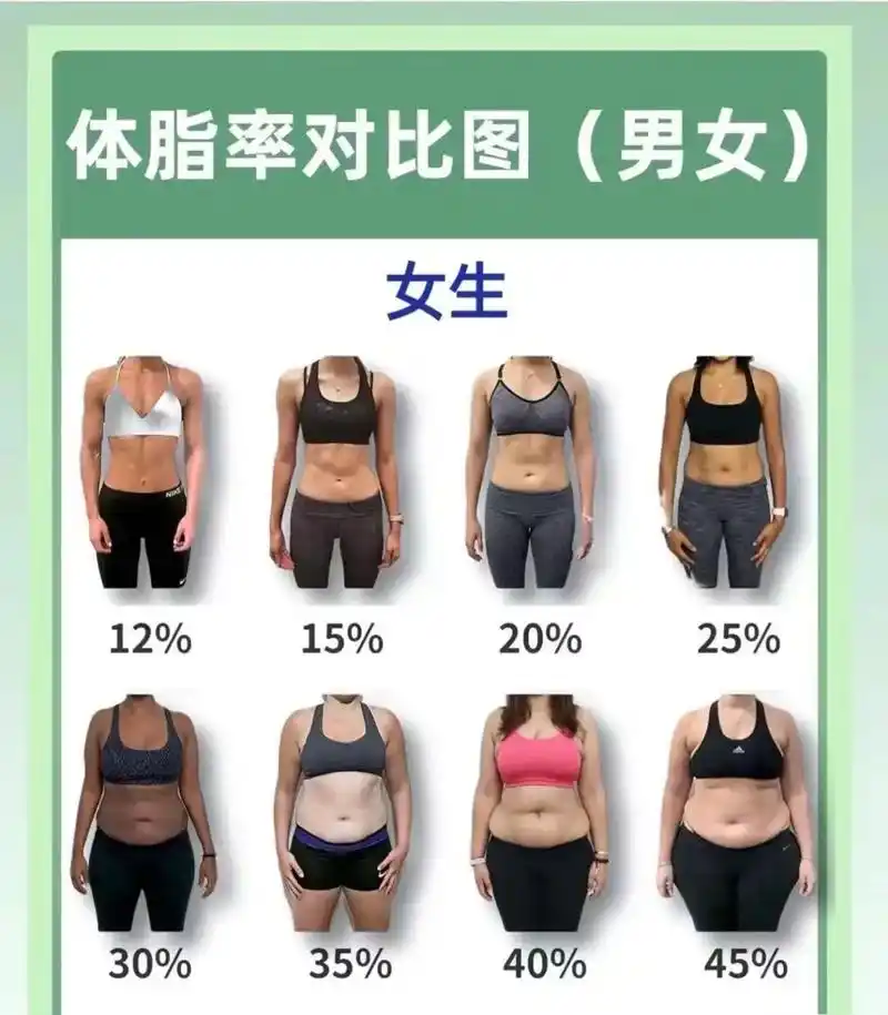 男女体脂对比图,你们体脂在多少?