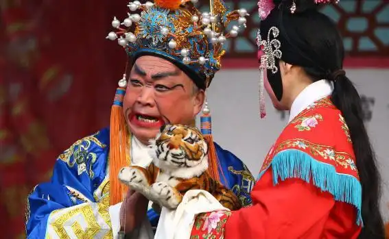 狸猫换太子背后是一段比故事更残忍的历史真相