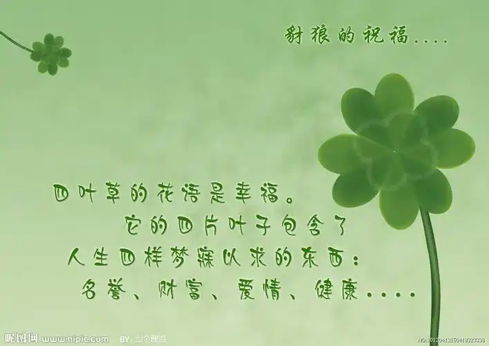 四叶草图片