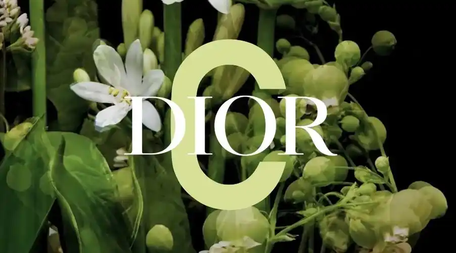 迪奥故事幸运铃兰迪奥先生与铃兰