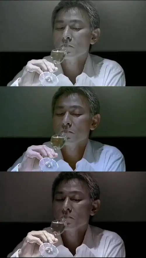 门徒染白发骑大象的华仔不要太帅刘德华