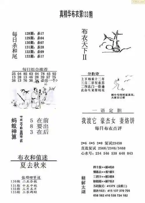 23年133期3d布衣图库图谜版总汇
