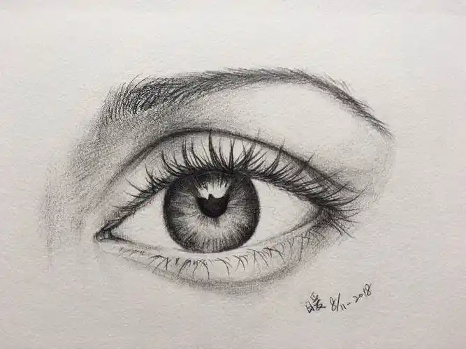 素描眼睛素描眼睛的画法