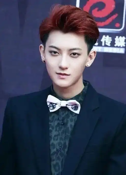 另一方面,韩娱没有圈获悉,出生于1993年5月2日tao(原名黄子韬),于2010