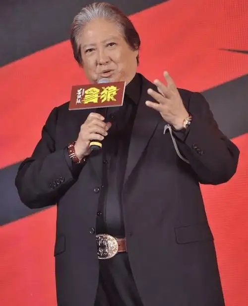 杀破狼破3亿小鲜肉再次中枪洪金宝没个能打的要价还高