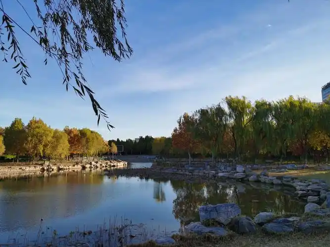 发现身边的美---晨走博大公园