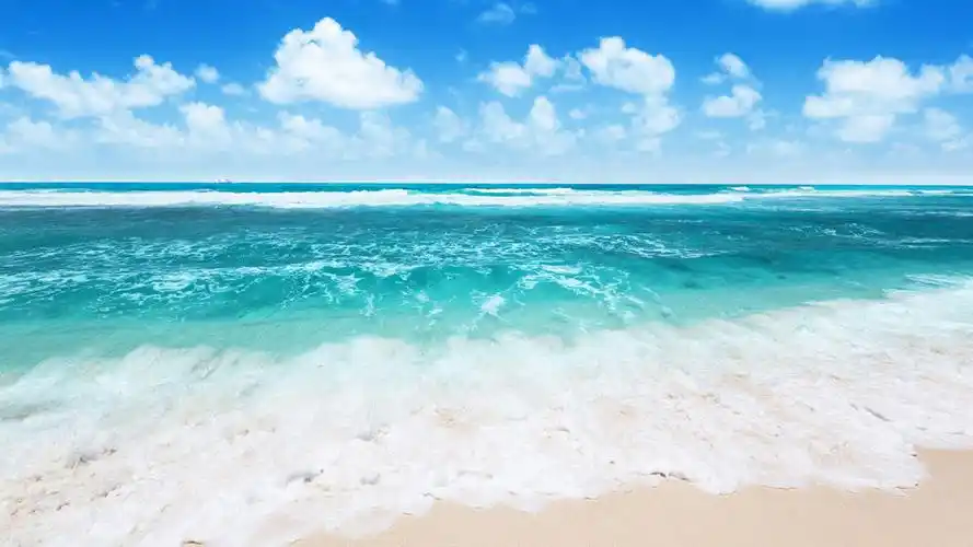 沙滩上的海浪图片