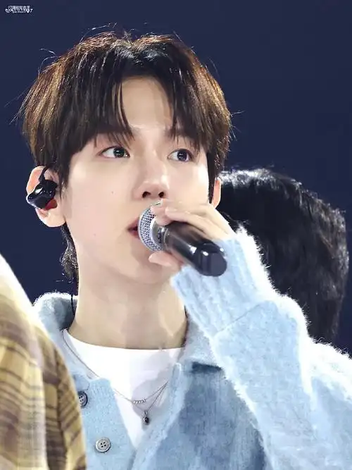 边伯贤##baekhyun##exo十二周年粉丝见面会