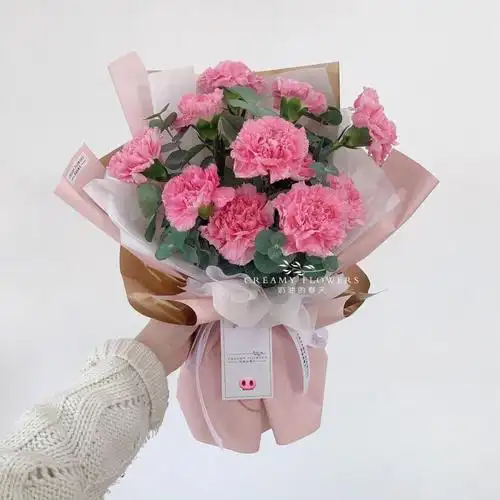 康乃馨图片花束真实(康乃馨图片花束真实大全)