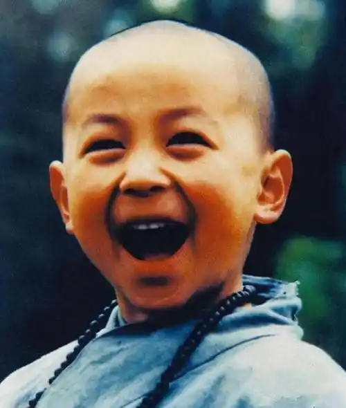 2岁练功5岁成名,当家里6年"摇钱树"的释小龙为什么红不起来