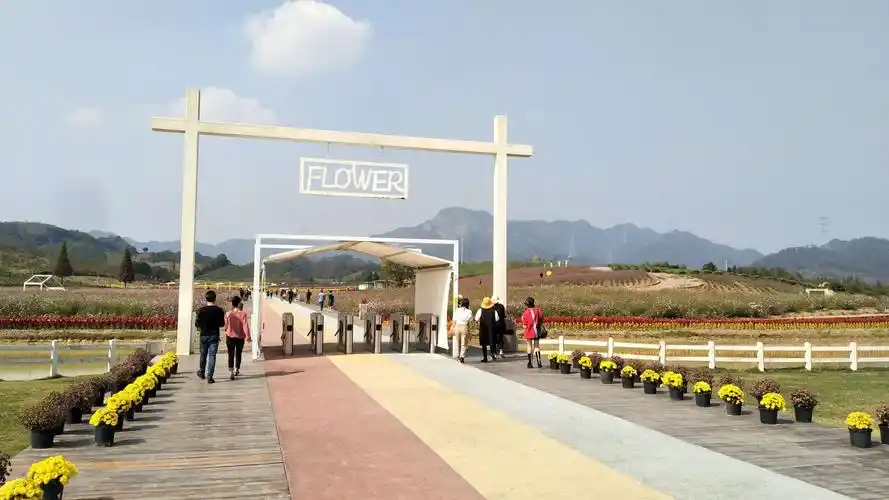 骑游武义花田小镇