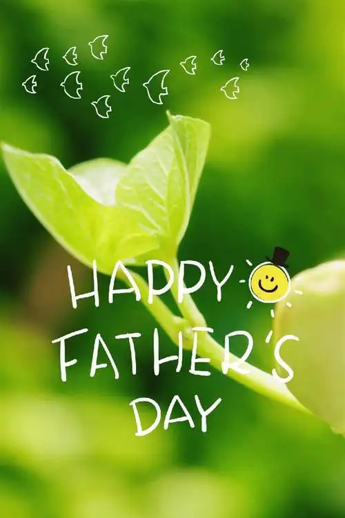 小清新绿色护眼植物手机锁屏壁纸 绿色植物,文字,带字,护眼植物,自然