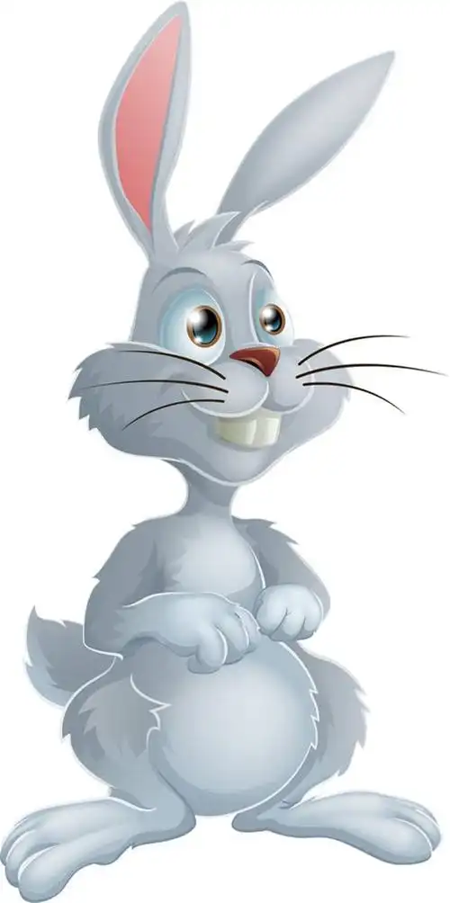 白色,兔子,卡通